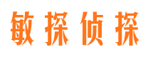 麻章市侦探调查公司